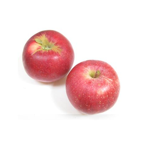 Pommes Akane bio (1kg) (chair blanche, tendre, aciduée)