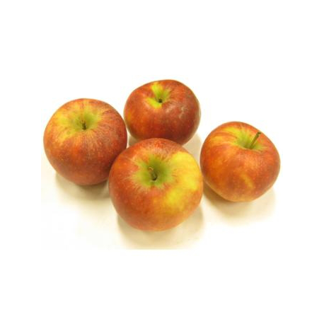 Pommes Elstar (1kg)