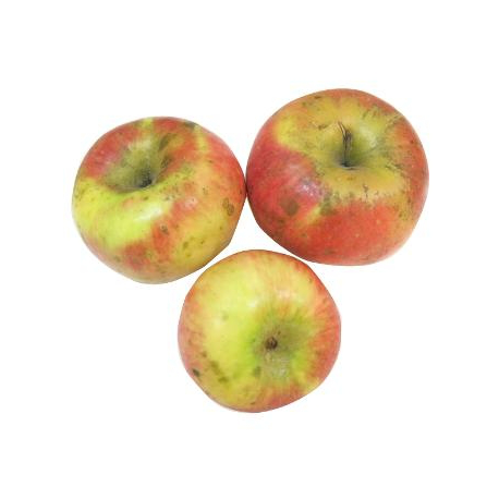 Pommes Topaz bio (1kg)- juteuse, fondante, acidulée