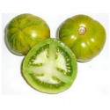 Tomates Green Zebra bio (500g)