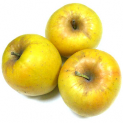 Pommes Opale bio (kg)- douce, croquante, sucrée