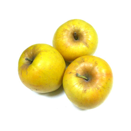 Pommes Opale bio (kg)- douce, croquante, sucrée