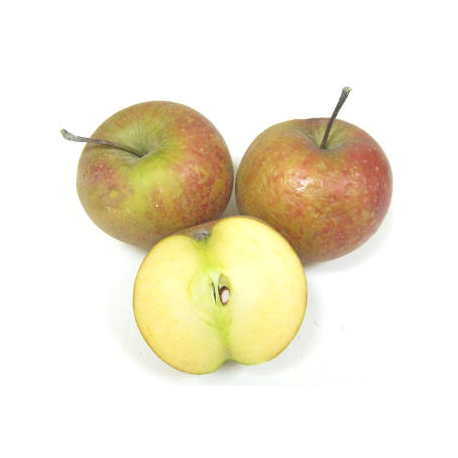 Pommes Dalinsweet bio (kg) - croquante, acidulée, juteuse, parfumée