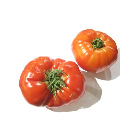 Tomates anciennes bio (1kg)