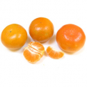 Mandarines bio (1kg) : variété mandalate