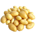 Pommes de terre nouvelles bio jaunes - Premières (500g)