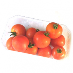 Tomates cocktail (500g)