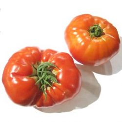 Tomate Coeur de boeuf (1kg)