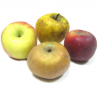 Pommes à compote bio (10kg) : dalinette, candine, story, granny...