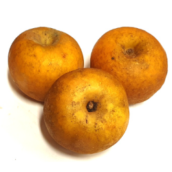 Pommes Patte de Loup bio (kg)- goûteuse, croquante, parfumée