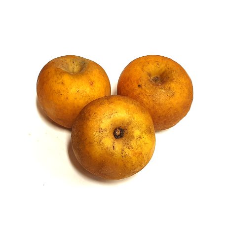 Pommes Patte de Loup bio (kg)- goûteuse, croquante, parfumée