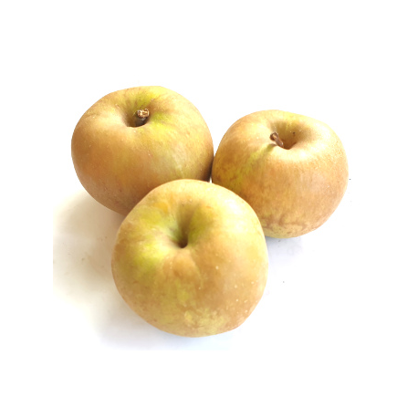 Pommes Melrose (1kg)
