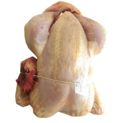 Cuisses de poulet bio (x2, 600g)- Verger des Volailles