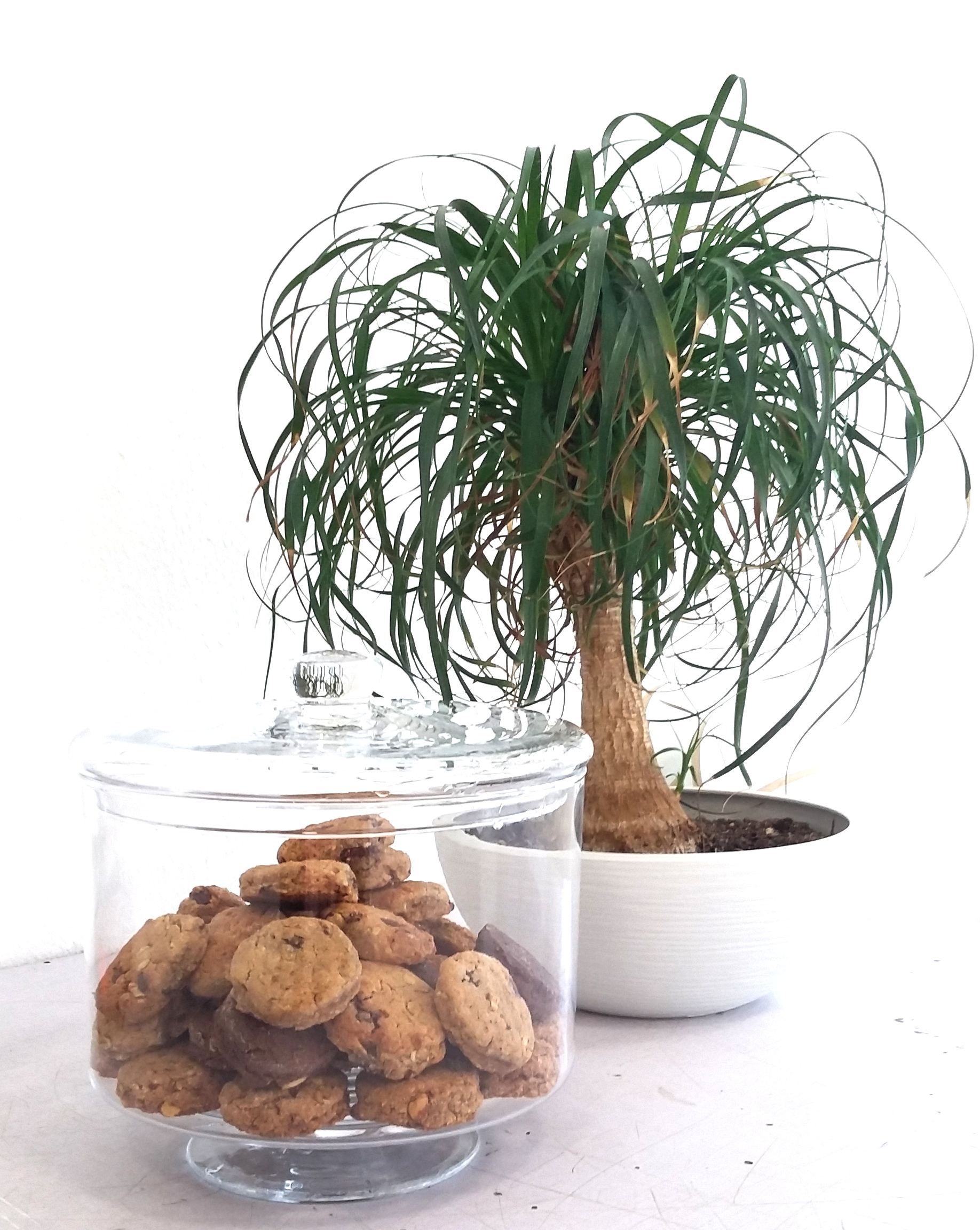 Cookies en bonbonniere en cas sains oclico bio locaux vegan